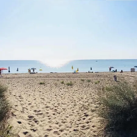 营地 Beach Camp